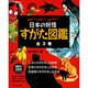 みたい!しりたい!しらべたい!日本の妖怪すがた図鑑(全3巻) [全集叢書]