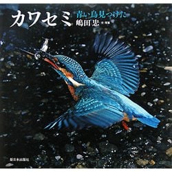 ヨドバシ Com カワセミ 青い鳥見つけた 絵本 通販 全品無料配達