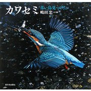 カワセミ―青い鳥見つけた [絵本]