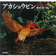 アカショウビン―火の鳥に出会った [絵本]