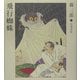 飛行蜘蛛 復刻版 [単行本]