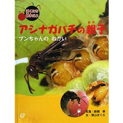アシナガバチの親子―ブンちゃんのねがい(ぼくたち親子だよ〈2〉) [絵本]