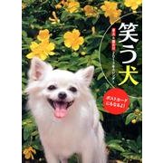 笑う犬カレンダー 2013 [カレンダー]