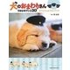 犬のおまわりさん てのひらワンコ3D オフィシャルフォトブック [単行本]