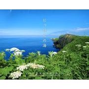 にっぽんの海CALENDAR 2013 [カレンダー]