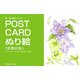 POST CARD ぬり絵「四季の花」―ポストカード+ポストカードぬり絵=32枚付(楽・ぬり絵シリーズ) [単行本]