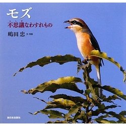 モズ―不思議なわすれもの [絵本]