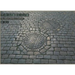 Amazon.co.jp: マンホ-ルの蓋 (ヨ-ロッパ篇) : 林 丈二: 本