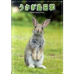 うさぎ島日和[DVD]