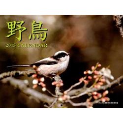 野鳥 2013[カレンダー] [カレンダー]