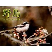 野鳥 2013[カレンダー] [カレンダー]