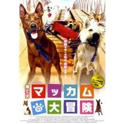 捨て犬マッカムの大冒険[DVD]