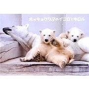 ホッキョクグマのイコロとキロル [単行本]