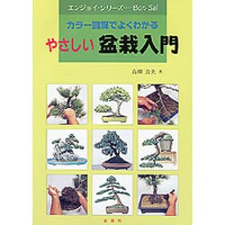 やさしい盆栽入門―カラー図解でよくわかる(エンジョイシリーズ) [単行本]