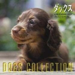 DOGS COLLECTIONダックス 2007[カレンダー [カレンダー]
