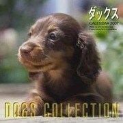 DOGS COLLECTIONダックス 2007[カレンダー [カレンダー]