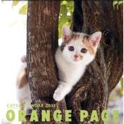 CATS CALENDAR 2013 [カレンダー]