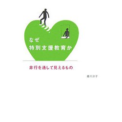 なぜ特別支援教育か―非行を通して見えるもの [単行本]