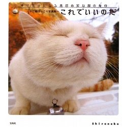 これでいいのだ―かご猫ほっこり写真集 [単行本]
