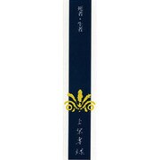 上原專祿著作集 16 [全集叢書]