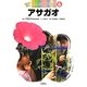 アサガオ(かんさつ名人はじめての栽培〈6〉) [全集叢書]