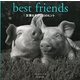 友情をきずく60のヒント―best friends [単行本]