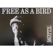 FREE AS A BIRD [単行本]