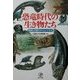 恐竜時代の生き物たち―桑島化石壁のタイムトンネル [単行本]