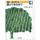 図説 木のすべて〈4〉森ができるまで [全集叢書]