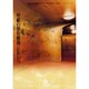 絵画修復報告 No.5 [単行本]