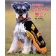 ぷち警察犬 くぅちゃん、参上! [単行本]