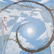 佐野元春／ナポレオンフィッシュと泳ぐ日