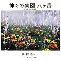 神々の楽園 八ヶ岳―縄文日本の原風景 [単行本]