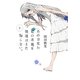 あの日見た花の名前を僕達はまだ知らない〈下〉(MF文庫ダ・ヴィンチ) [文庫]