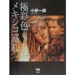 極彩色メキシコ巡礼 [単行本]