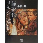 極彩色メキシコ巡礼 [単行本]