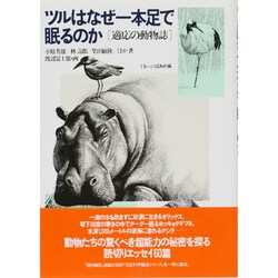 ヨドバシ Com ツルはなぜ一本足で眠るのか 適応の動物誌 単行本 通販 全品無料配達