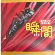 栗林さんの虫めがね〈3〉瞬間(栗林慧の昆虫写真絵本シリーズ) [絵本]