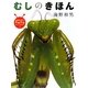 むしのきほん(海野和男のワクワクむしずかん〈1〉) [図鑑]