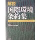 解説 国際環境条約集 [単行本]