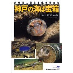 神戸の海は宝箱－大阪湾に暮らす生き物たち（のじぎく文庫） [単行本]