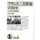 フランス二月革命の日々―トクヴィル回想録(岩波文庫) [文庫]