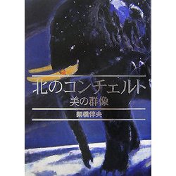 北のコンチェルト―美の群像 [単行本]