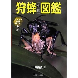 狩蜂生態図鑑―ハンティング行動を写真で解く [図鑑]