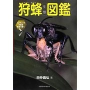 狩蜂生態図鑑―ハンティング行動を写真で解く [図鑑]