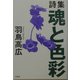 詩集 魂と色彩 [単行本]