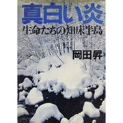 真白い炎―生命たちの知床半島 [単行本]