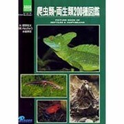 爬虫類・両生類200種図鑑(ピーシーズアクア・コレクション) [全集叢書]