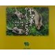 ヤマネのやじろうとこじろう [絵本]