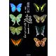 「超」怖い話 超-1 怪コレクション〈vol.2〉(竹書房文庫) [文庫]